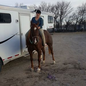 Meet your Posher, Deb